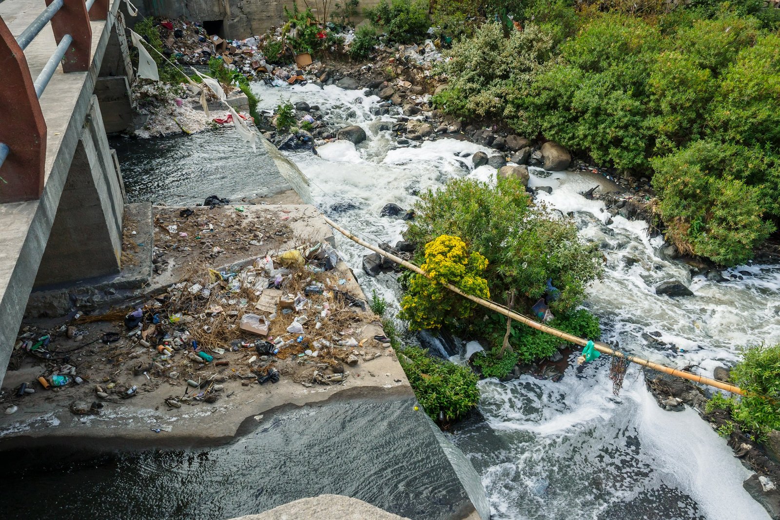 Water Pollution