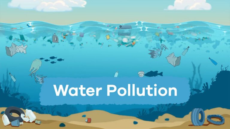 Point supply and diffuse water pollution