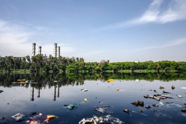 The Growing Threat of Water Pollution: Causes, Effects, and Solutions