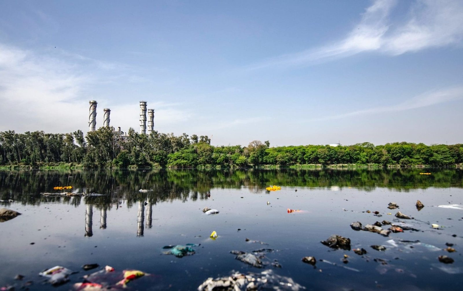 The Growing Threat of Water Pollution: Causes, Effects, and Solutions